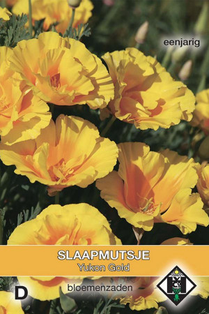 Symbolisches Bild: California Poppy Seeds, referenziert den Yukon Gold-Themenkomplex